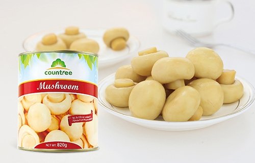 蘑菇罐头