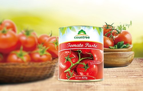番茄罐头