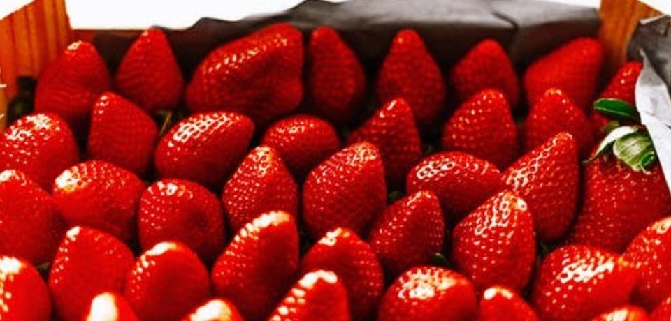 埃及新鲜草莓出口正处于高点