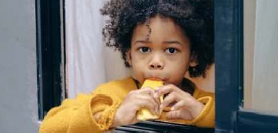 南非芒果产量下降了15%